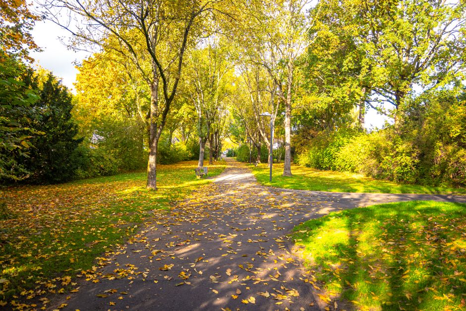 Neighborhood park and walking trail