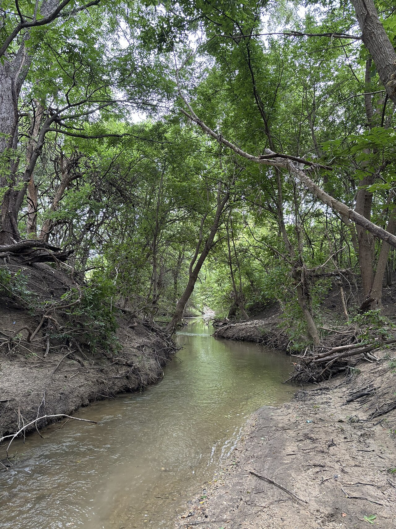 Harris Branch waterway near Harris Branch Parkway in Austin