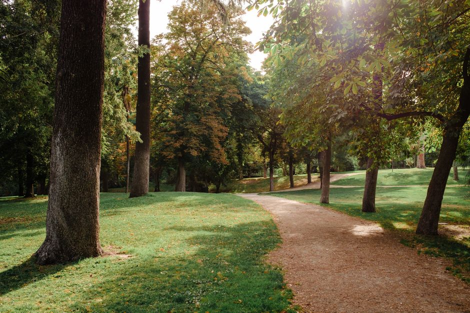 Park green space and trail similar to Mueller's Lake Park