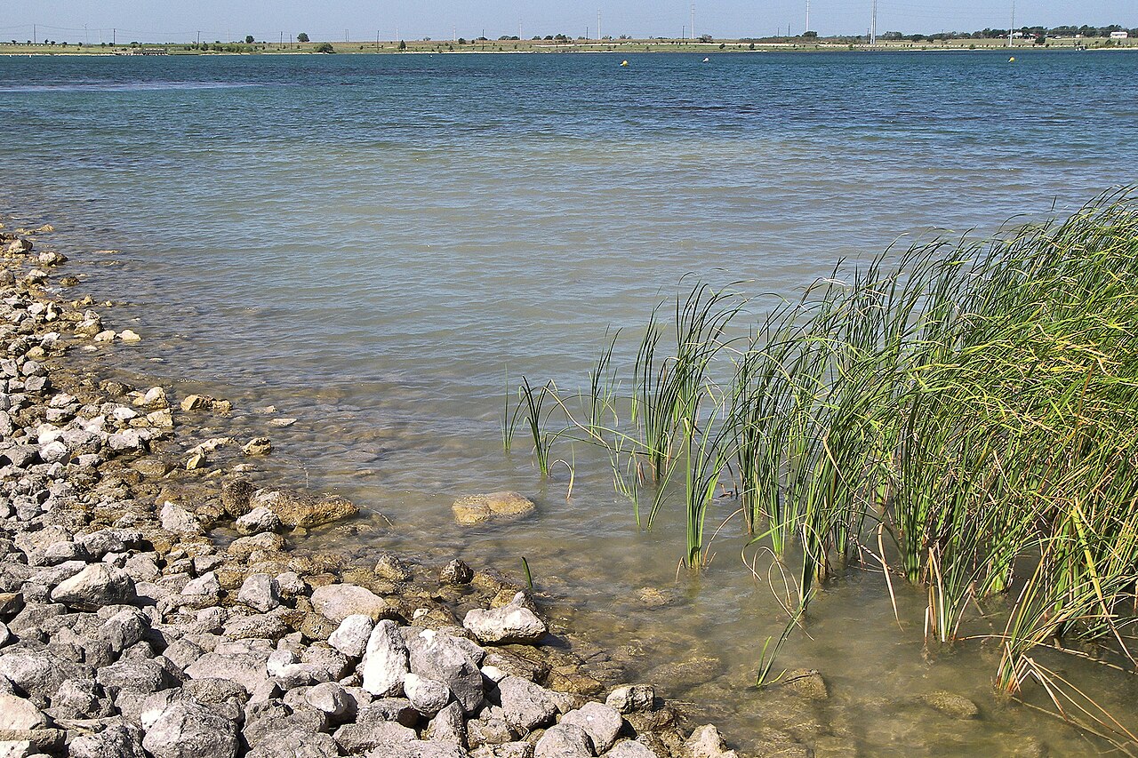 Lake Pflugerville shoreline in the northeast Austin suburb of Pflugerville