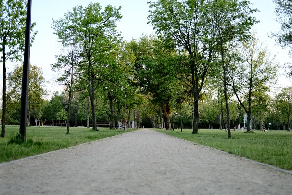 Paved greenbelt trail through a park, similar to Wells Branch's trail network
