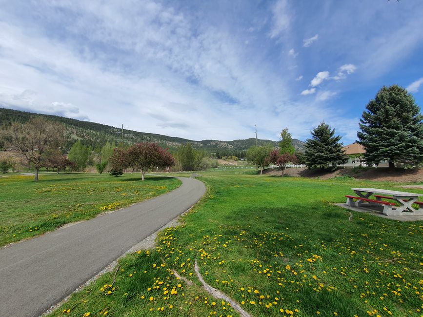 Neighborhood park green space and walking trail