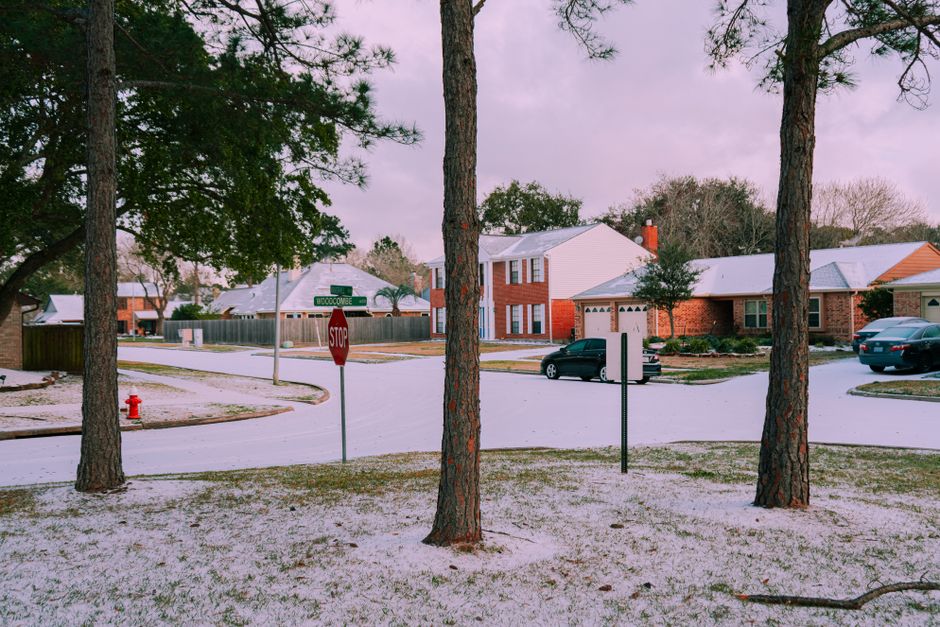 Established tree-lined residential street in central Austin